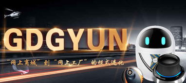 互聯(lián)網(wǎng)軟件服務(wù)如何重塑現(xiàn)代生活